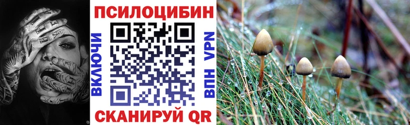 Галлюциногенные грибы ЛСД  Новоалександровск 